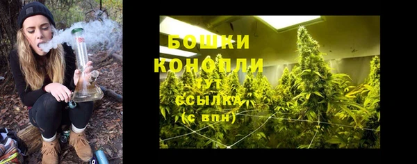 прущие крисы Белокуриха