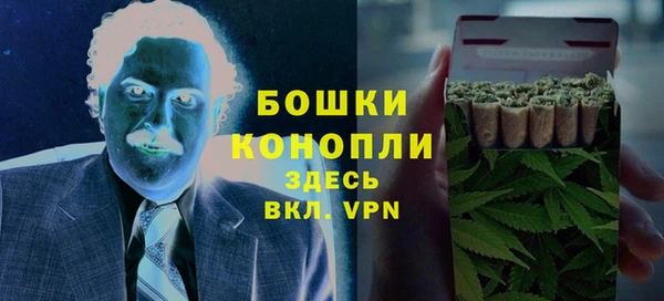 прущие крисы Белокуриха