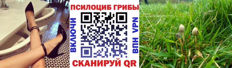 где можно купить   гидра ССЫЛКА  Галлюциногенные грибы ЛСД  Барыш 